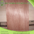 Poplar Core Bintangor Veneer Face Door Skin Plywood with Cheap Price